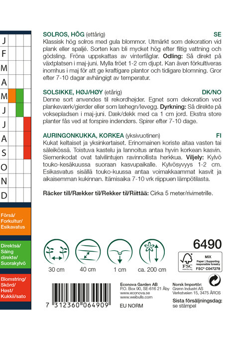 Solsikke, høj 'Uniflorus'